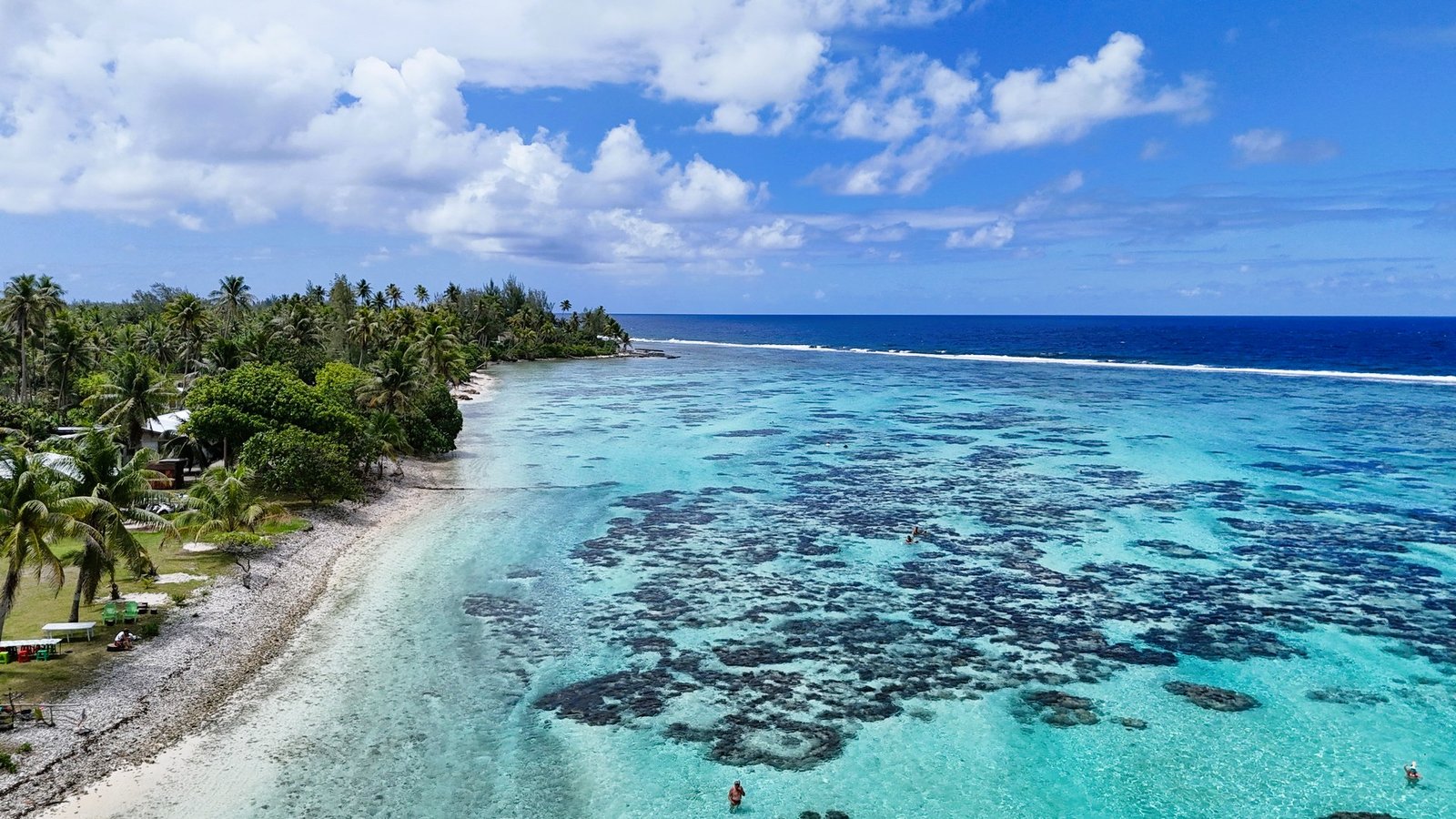 Jardin de corail à huahine - HAUHITI LODGE